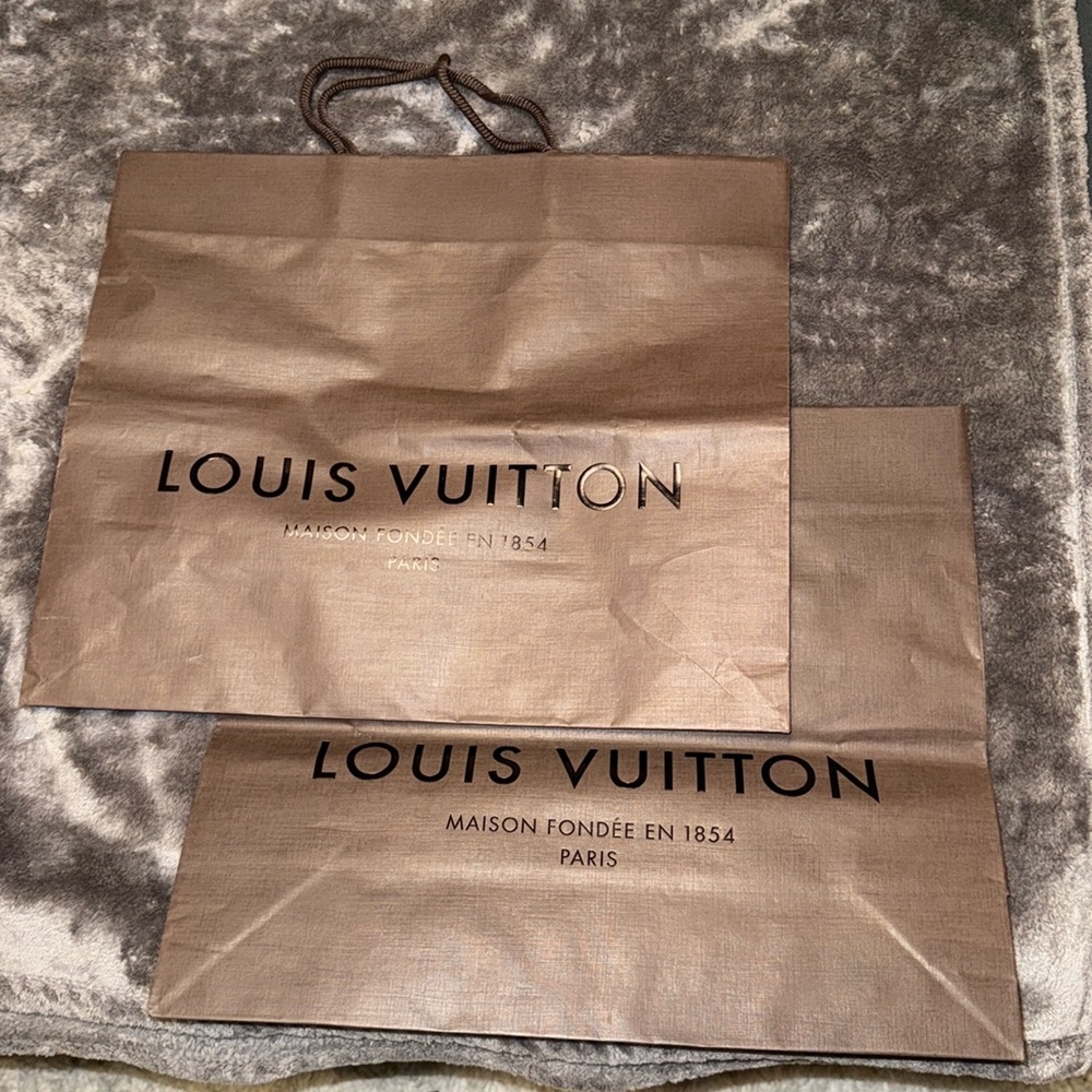 Louis Vuitton shopping bags - set of 2